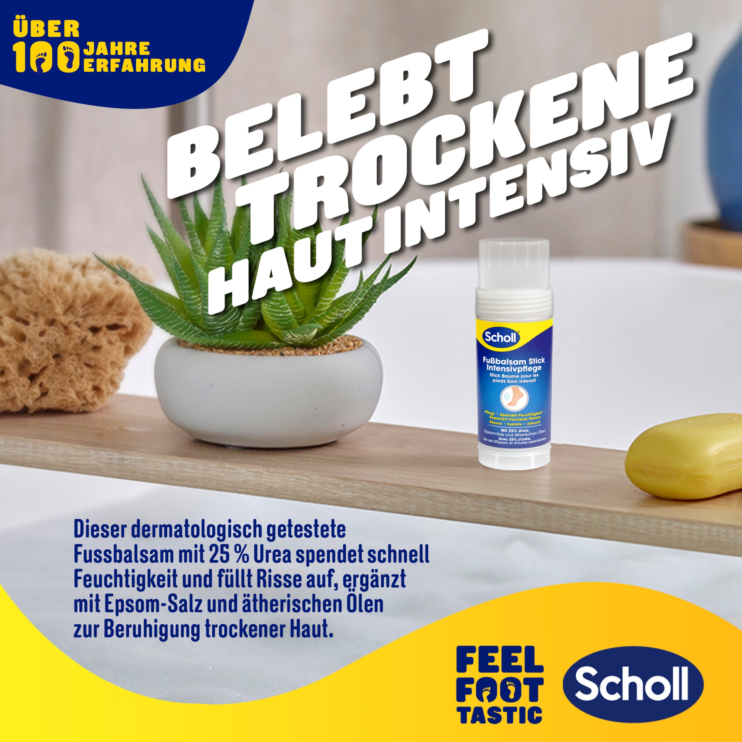 Scholl DE Care Fussbalsam Stick Intensivpflege