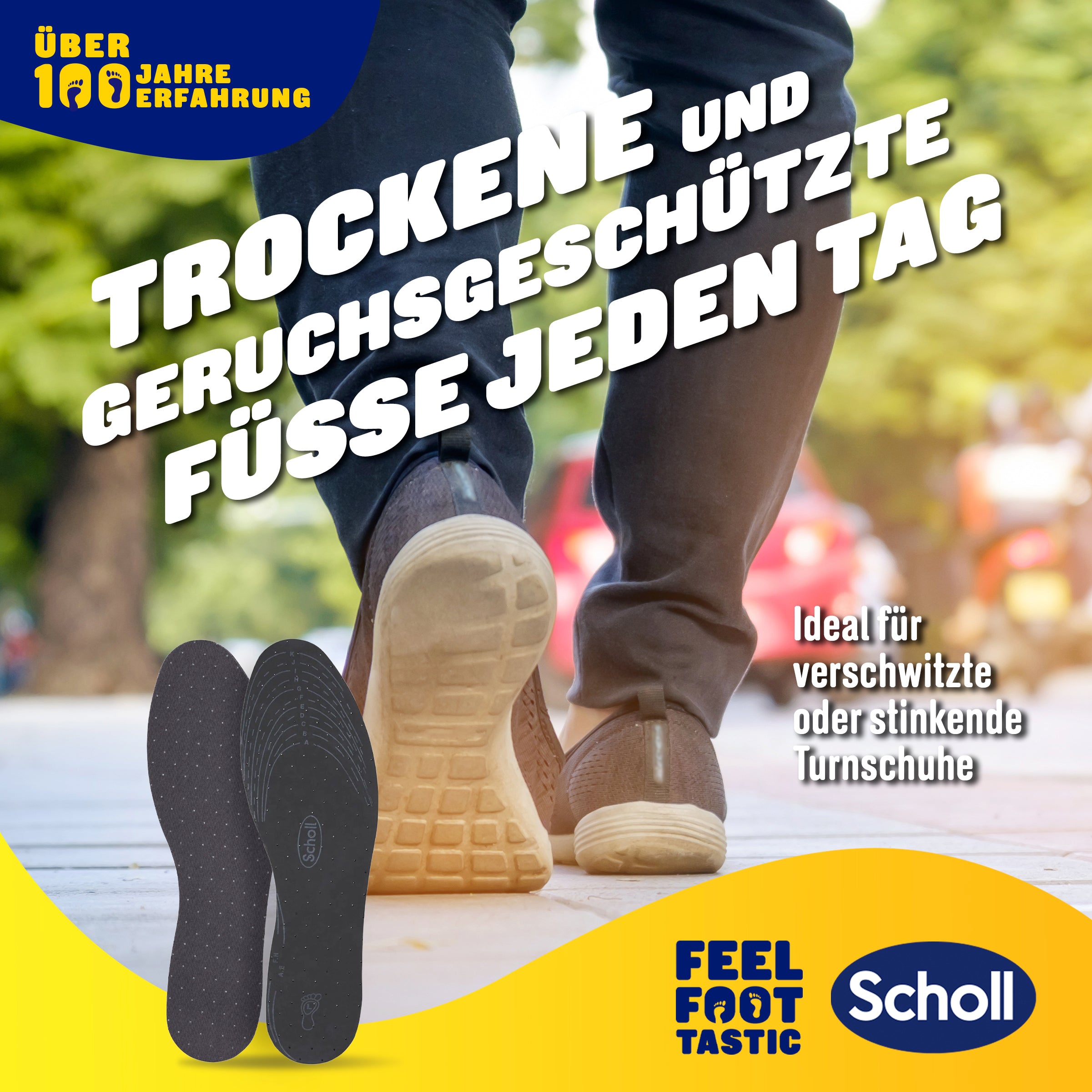 Scholl DE Insoles 35.5 - 40.5 Scholl Frische Einlegesohlen