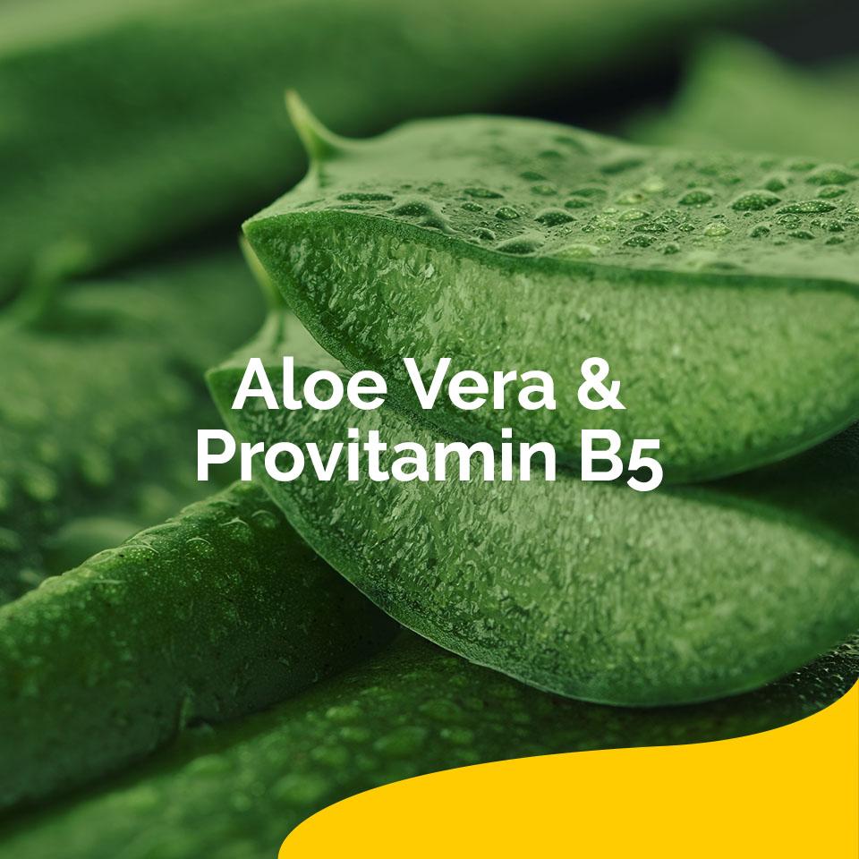 Scholl DE Care Scholl Regenerierender Fußbalsam 75ml - Für sehr trockene und raue Haut