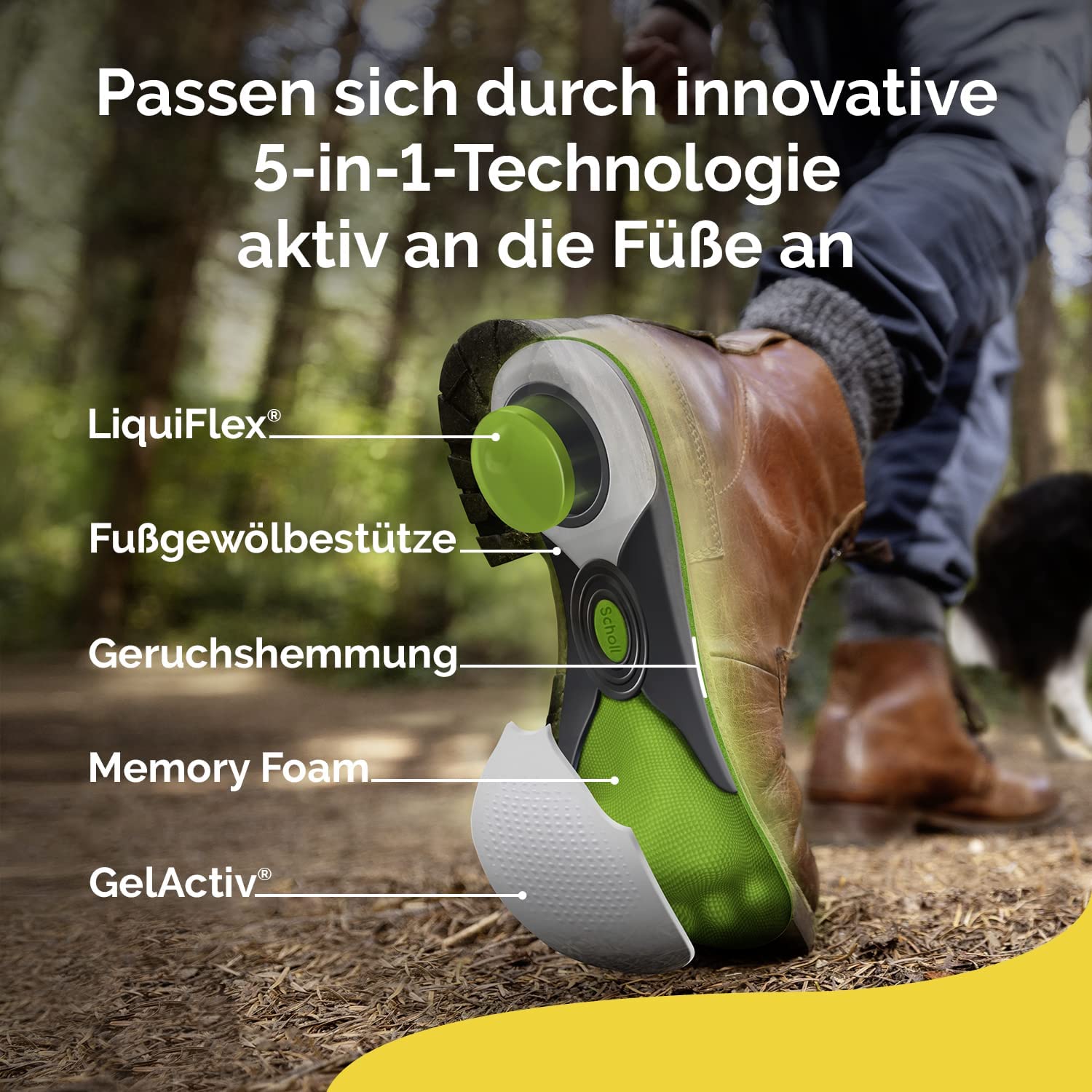 Scholl DE Insoles Scholl LiquiFlex Komforteinlegesohlen Everyday L, mehr Polsterung durch Memory Foam und Unterstützung des Fußgewölbes, 1 x 2 Stück